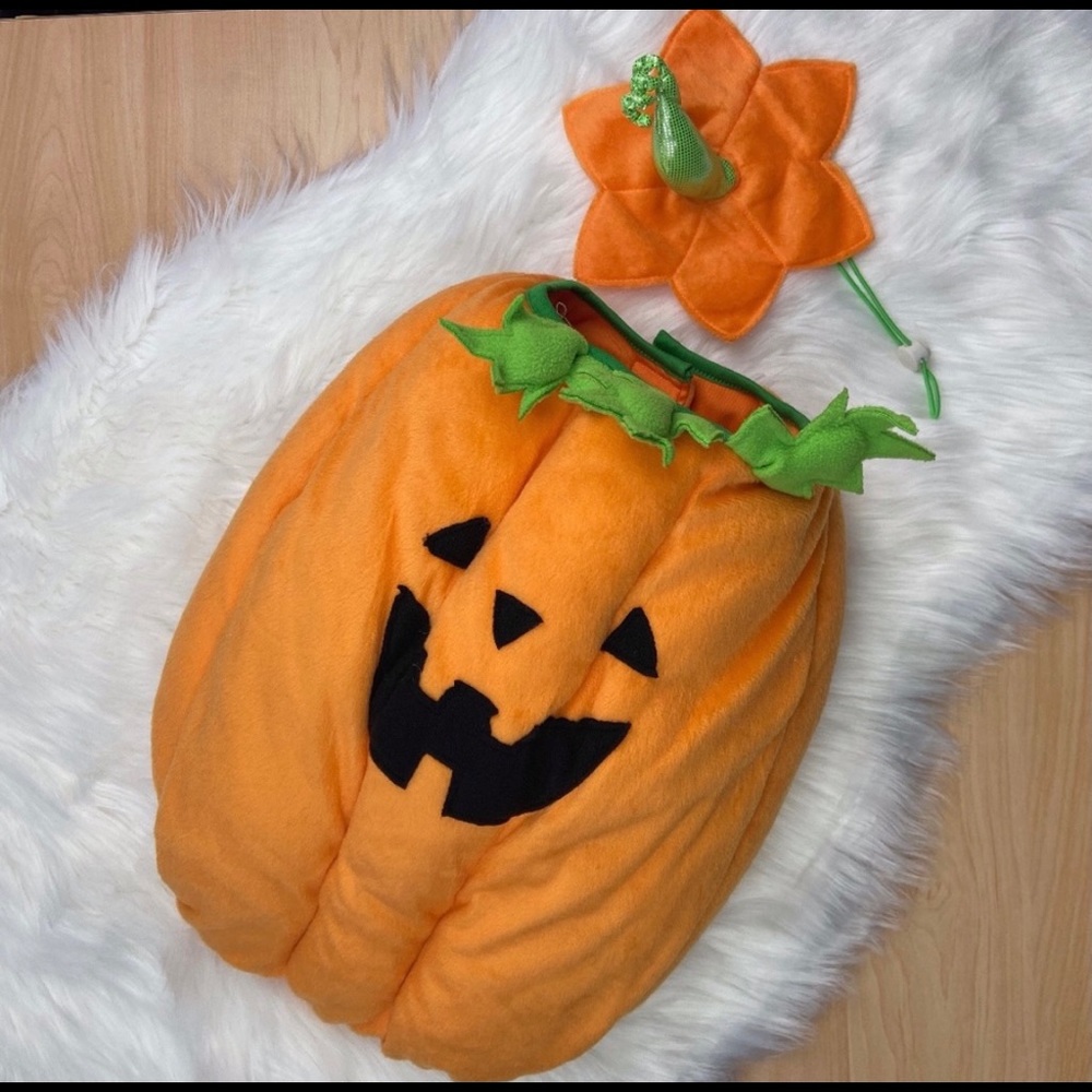 Pumpkin Dog Costume
